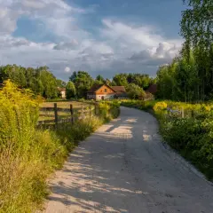Droga dojazdowa o odpowiedniej szerokości prowadzi do wiejskich zabudowań. Po bokach kwitną żółte kwiaty i zieleń.