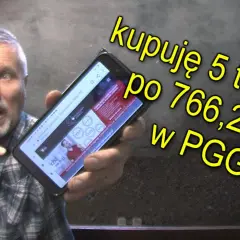 Jak kupić ekogroszek z PGG - prosta rejestracja i korzystne opcje