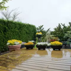 Kwiaty w donicach na mokrym tarasie to świetny pomysł, czym zabudować boki tarasu, tworząc przytulną atmosferę.