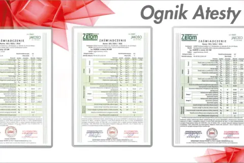Lipnicki kotły CO – poznaj najlepsze rozwiązania grzewcze OGNIK