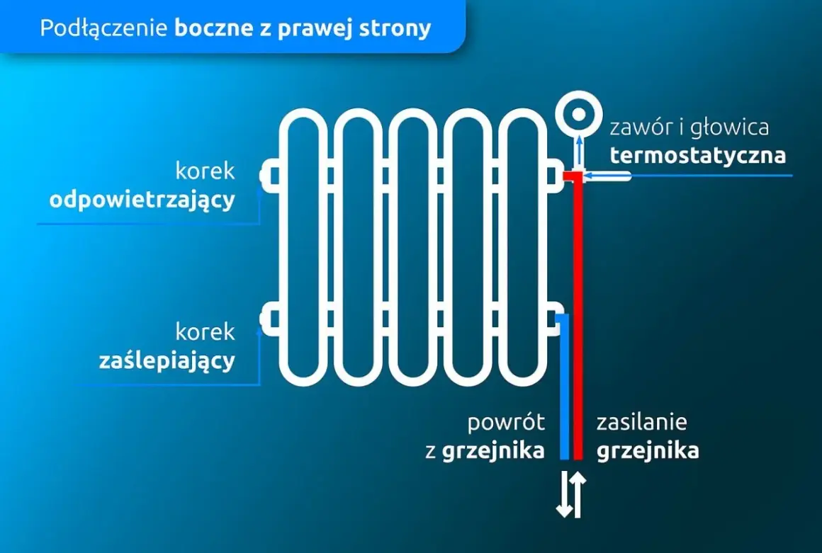 Schemat podłączenia grzejnika od dołu z prawej strony. Widoczny korek odpowietrzający, zaślepiający, zawór termostatyczny, zasilanie i powrót.