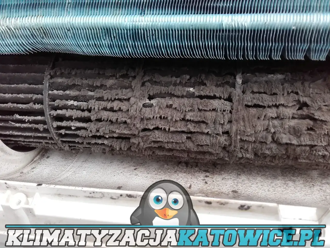 Zanieczyszczona klimatyzacja. Dowiedz się, ile kosztuje serwis klimatyzacji, by uniknąć takich widoków.